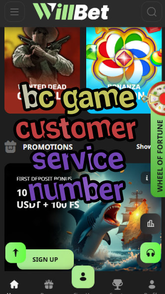 BC Game Customer Service Number - Contact-vz72fvrf.com